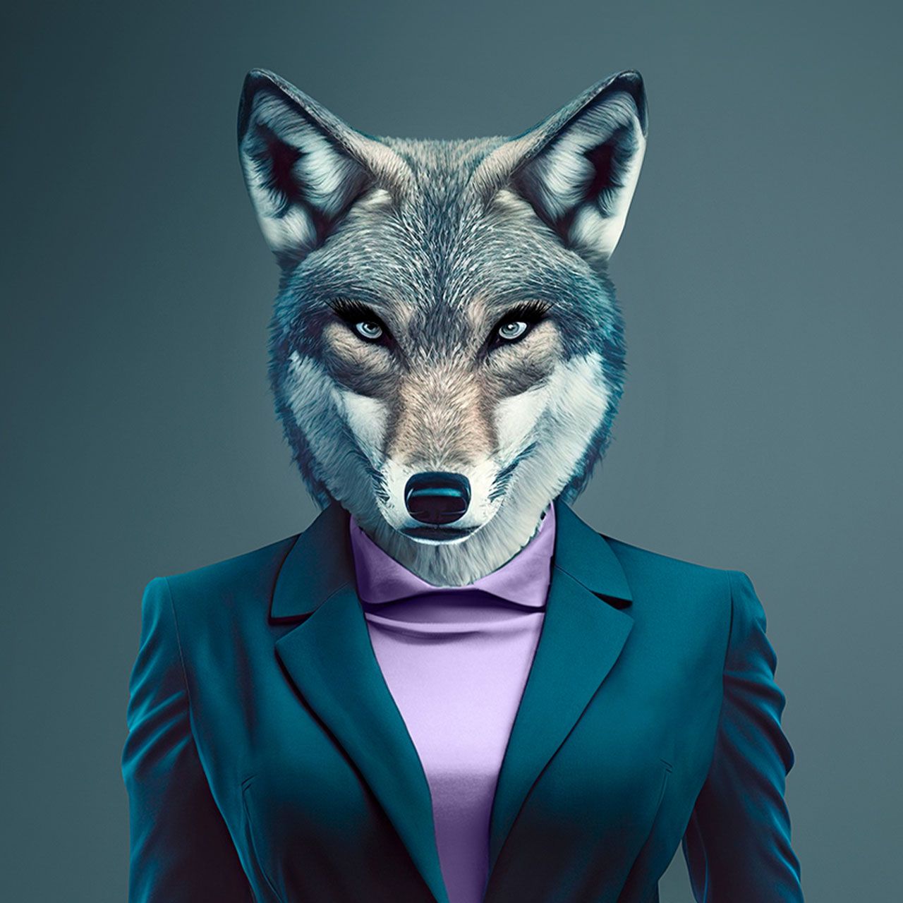 Kreatives Abbild des Wolfes als Job-Typ
