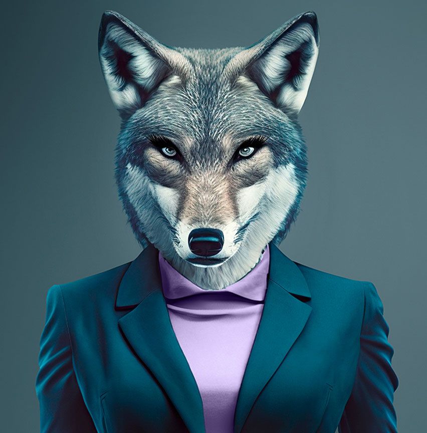 Kreatives Abbild des Wolfes als Job-Typ